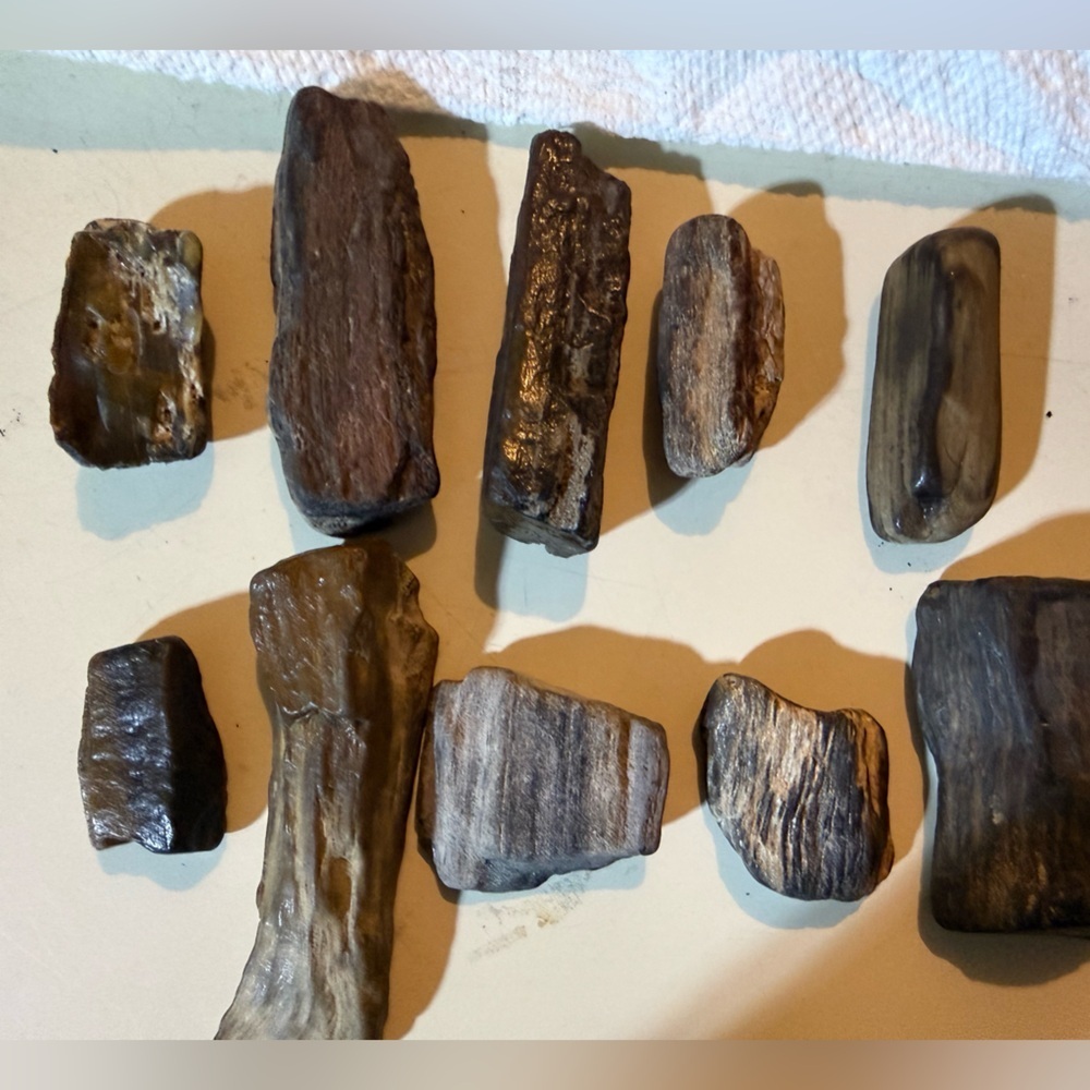 Petrified Wood Raw - 2 for $15.00 Add 2 to a bundle and I will make $15 offer.